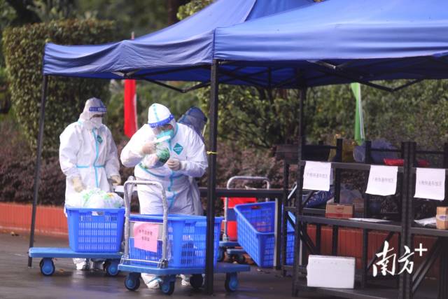 南方+ 梁钜聪 拍摄